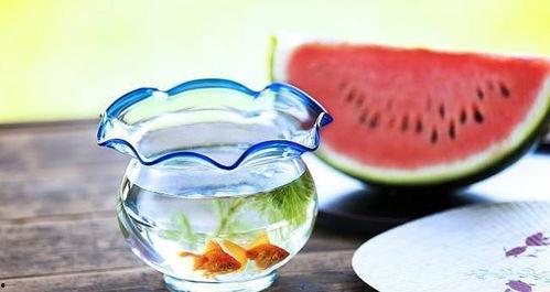 暗黑吃瓜网,揭秘娱乐圈背后的惊人真相