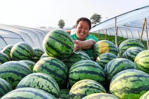 人民吃瓜网,揭秘娱乐圈幕后故事，带你领略明星真实生活