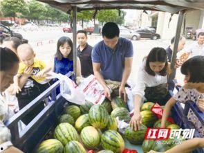 宁乡网红吃瓜事件视频最新