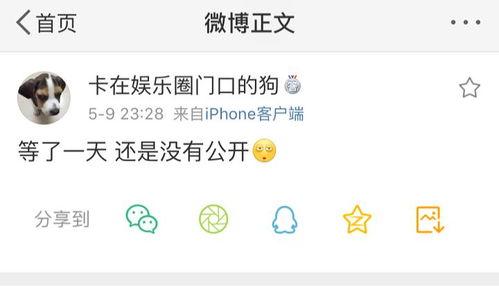 在线吃瓜爆料大全网站,在线爆料大全网站深度解析