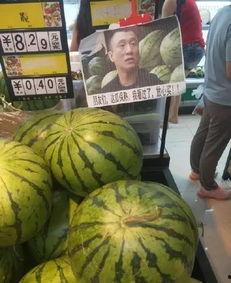 网红爆料吃瓜喷水在线,吃瓜喷水，揭秘娱乐圈幕后真相