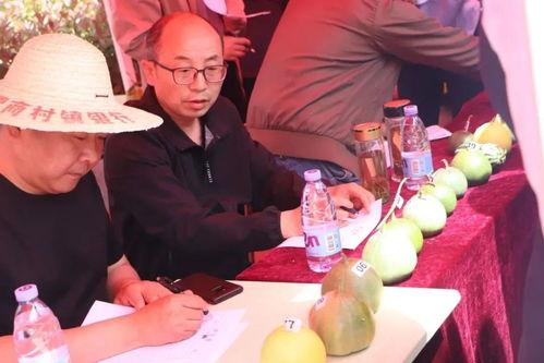 张津喻吃瓜网,揭秘娱乐圈幕后故事